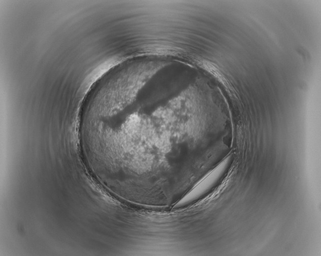 X0000115131071200911101642