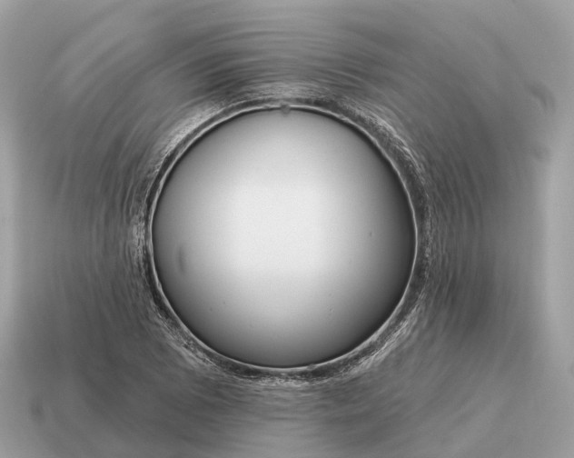 X0000115131073200911101642