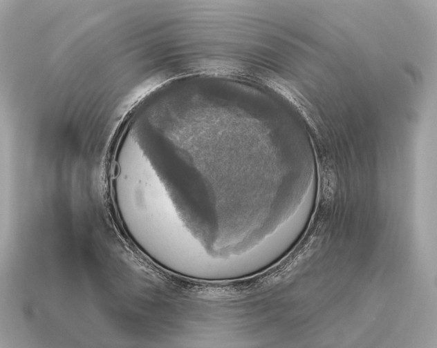 X0000115131074200911101642