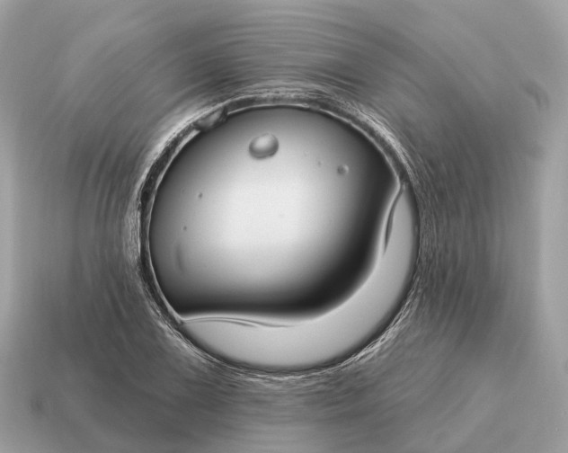 X0000115131075200911101642
