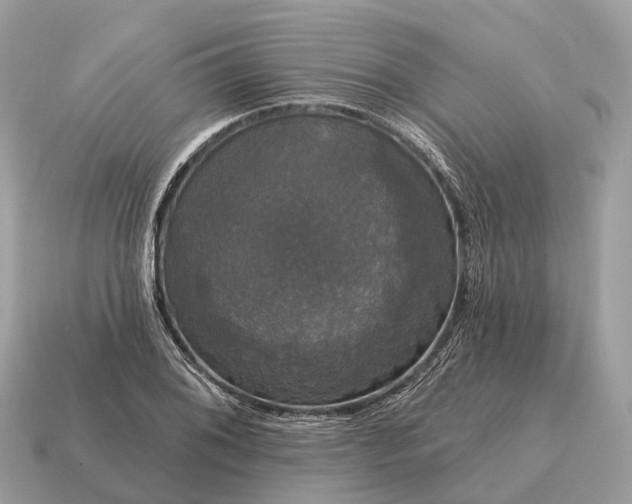 X0000115131076200911101642