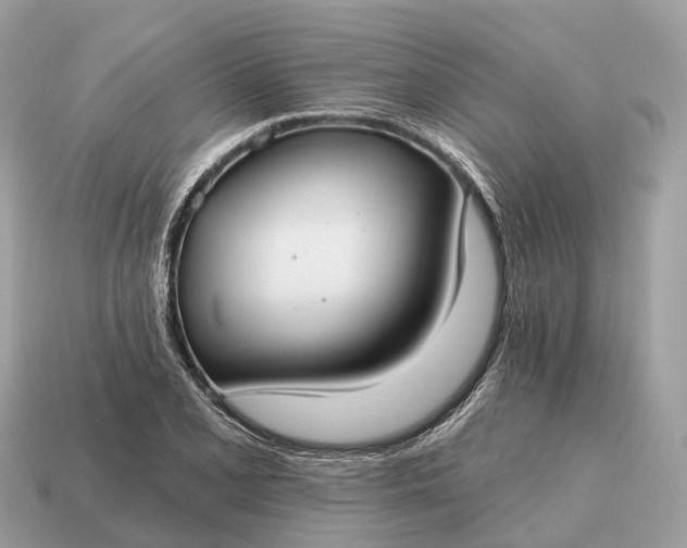 X0000115131077200911101642