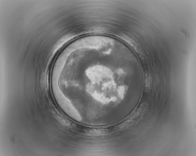X0000115131078200911101642