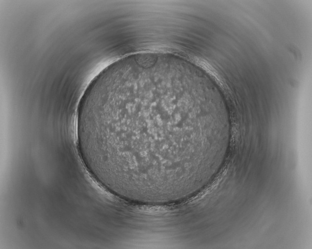 X0000115131079200911101642