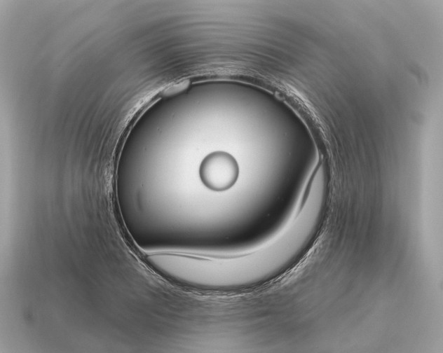 X0000115131081200911101642
