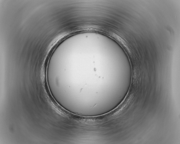 X0000115131082200911101642