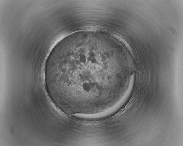 X0000115131083200911101642