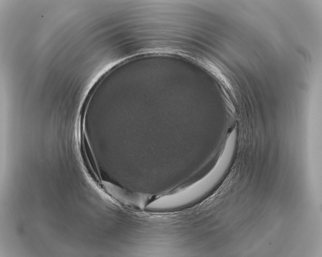 X0000115131084200911101642