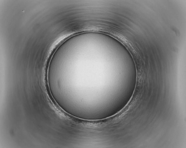 X0000115131086200911101642