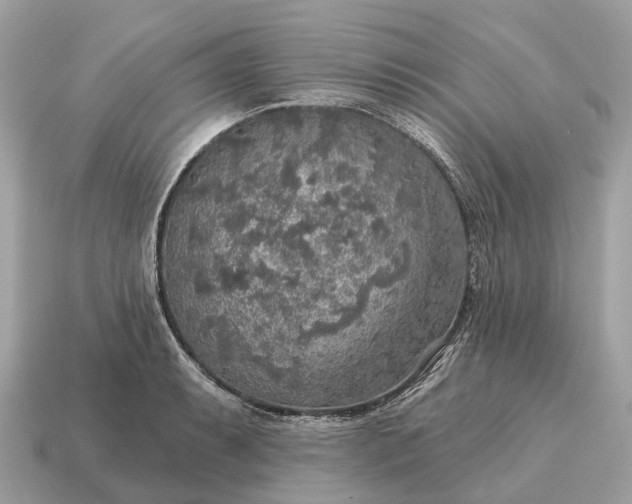 X0000115131087200911101642