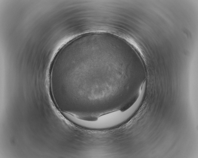 X0000115131088200911101642