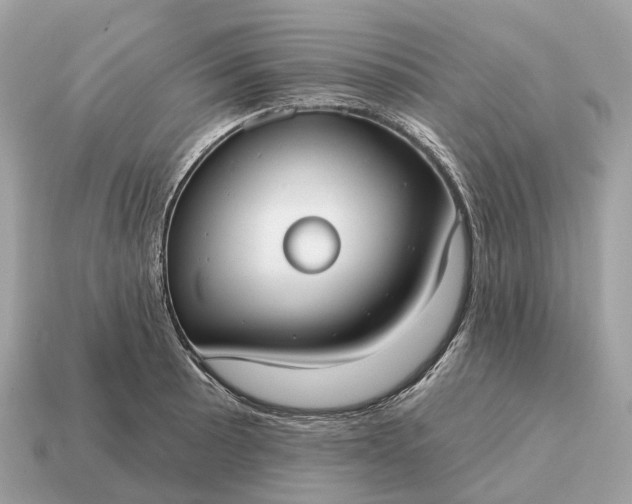 X0000115131089200911101642