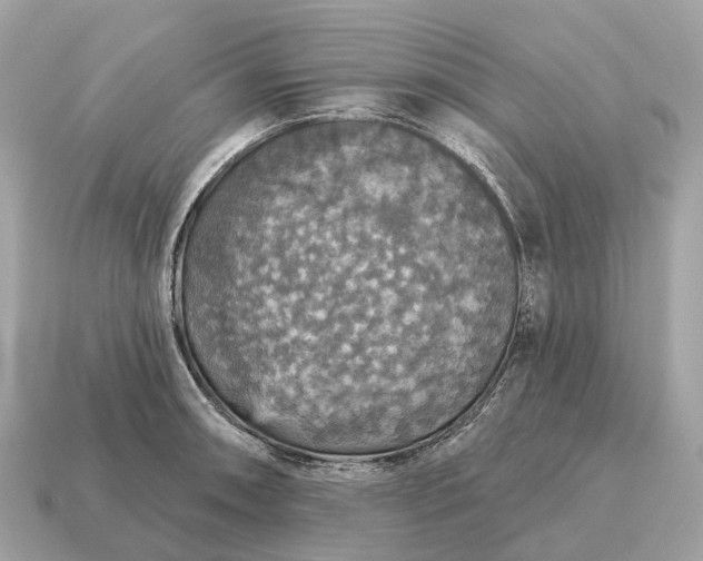 X0000115131090200911101642