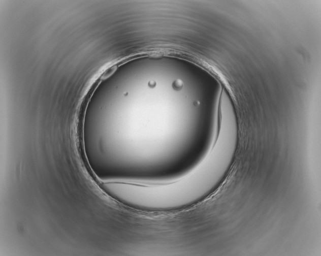 X0000115131091200911101642