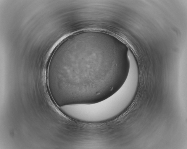 X0000115131092200911101642