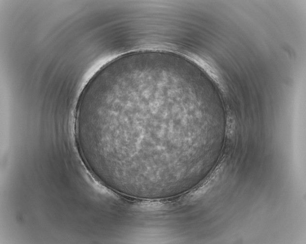 X0000115131094200911101642