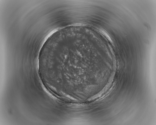 X0000115131095200911101642