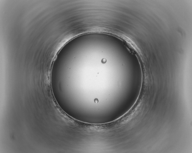 X0000115131097200911101642