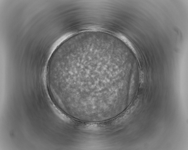 X0000115131098200911101642