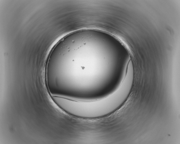 X0000115131100200911101642