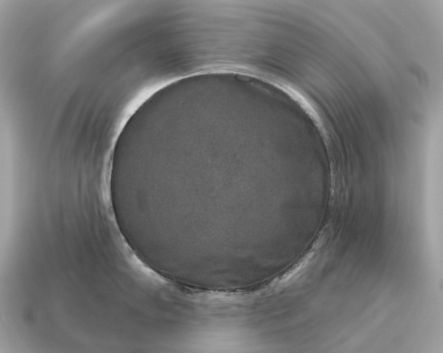 X0000115131102200911101642
