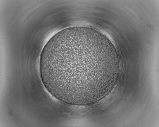X0000115131103200911101642