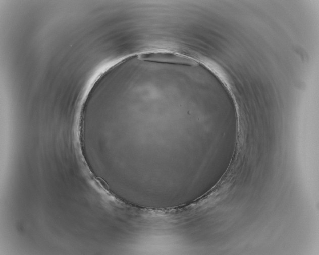 X0000115131104200911101642