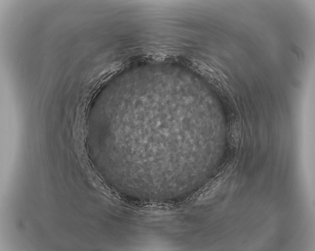 X0000115131105200911101641
