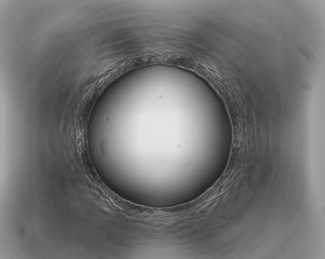 X0000115131109200911101641