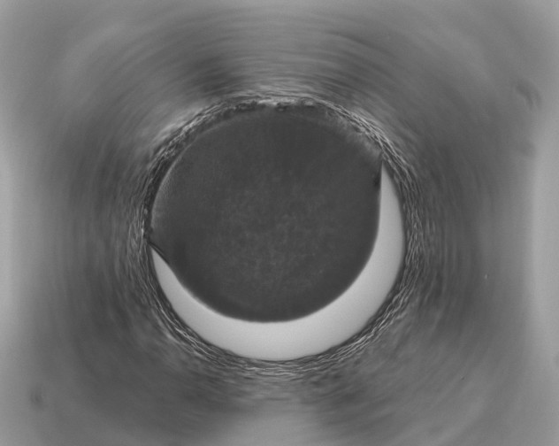 X0000115131110200911101641