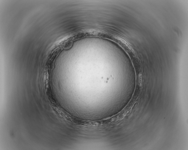 X0000115131111200911101641
