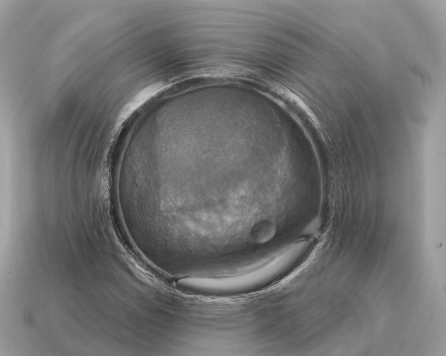 X0000115131114200911101641