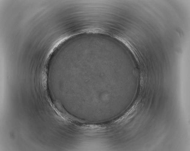 X0000115131115200911101641