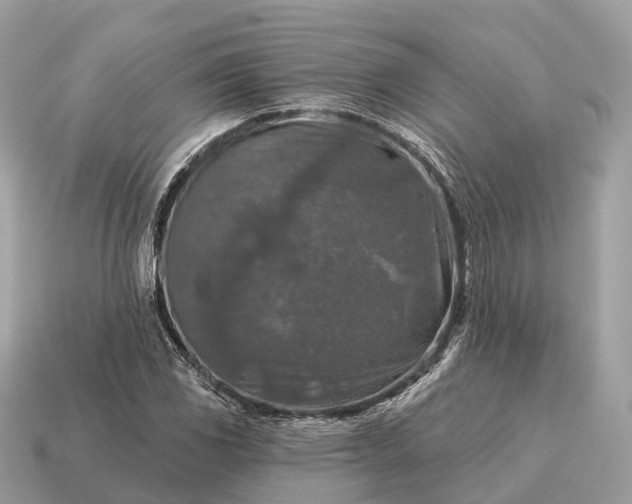 X0000115131117200911101641
