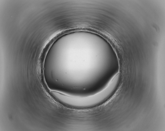 X0000115131118200911101641