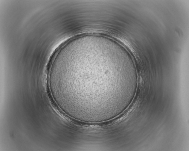 X0000115131119200911101641