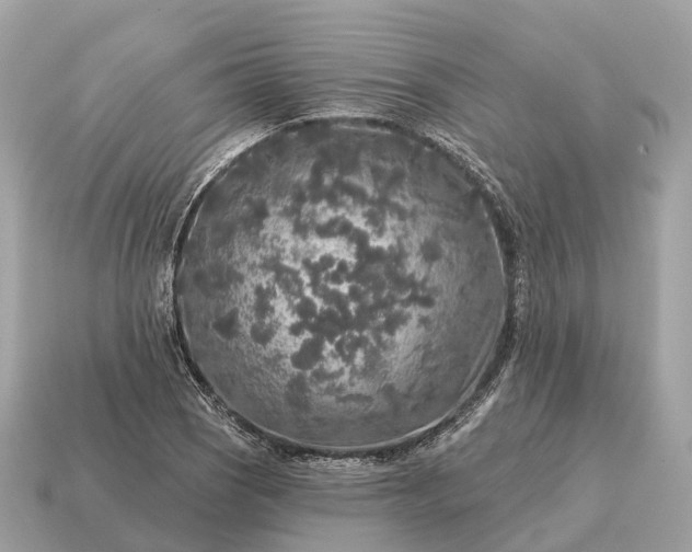 X0000115131121200911101641