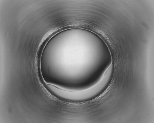X0000115131122200911101641
