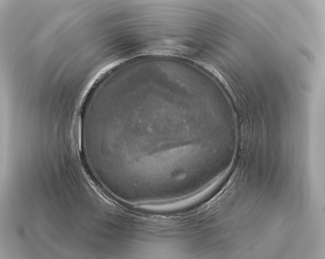 X0000115131123200911101641