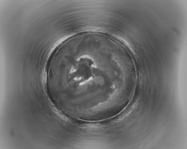 X0000115131125200911101641