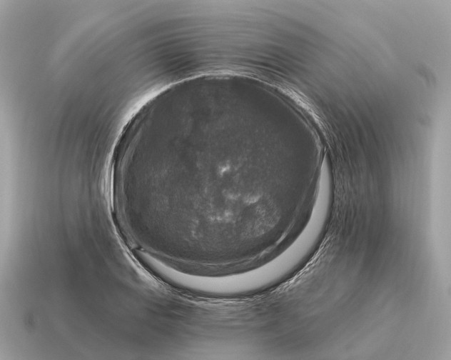 X0000115131127200911101641