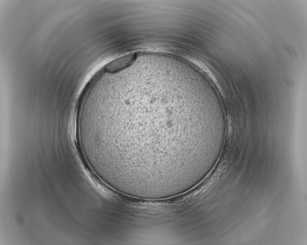 X0000115131131200911101641