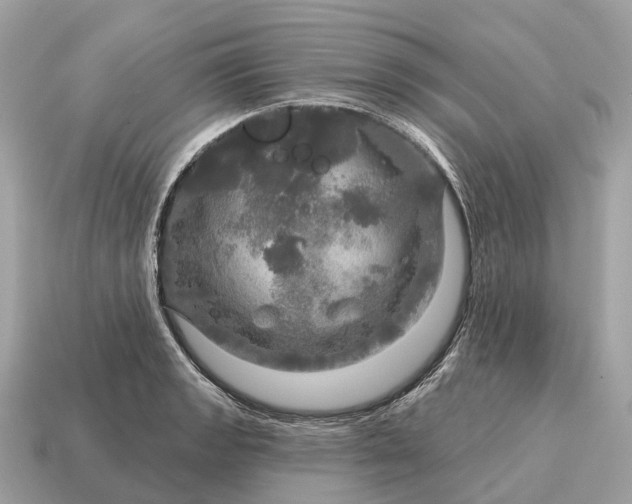 X0000115131133200911101641