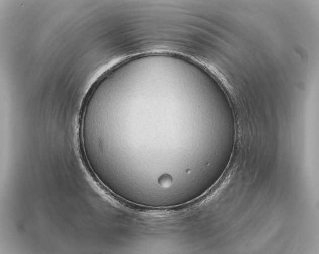 X0000115131134200911101641