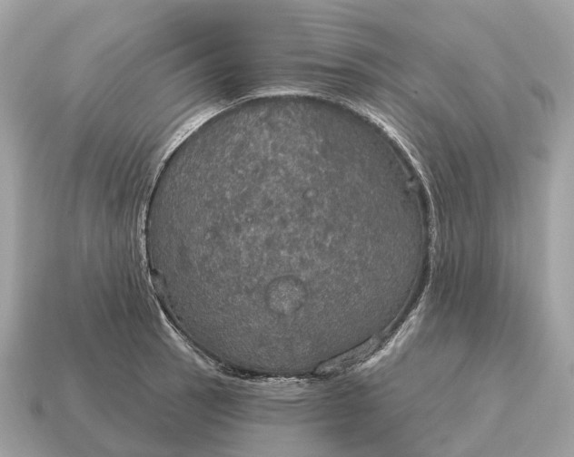 X0000115131137200911101641