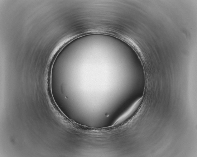 X0000115131138200911101641