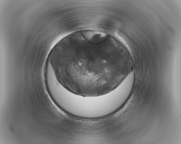 X0000115131141200911101641
