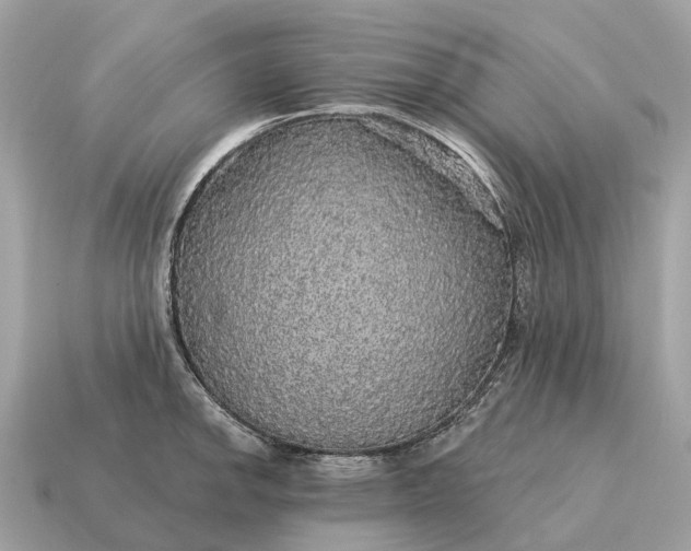 X0000115131142200911101641