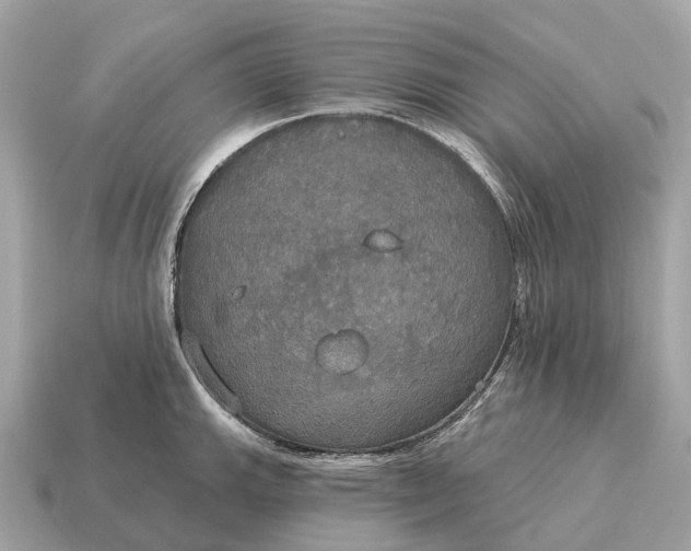 X0000115131143200911101641