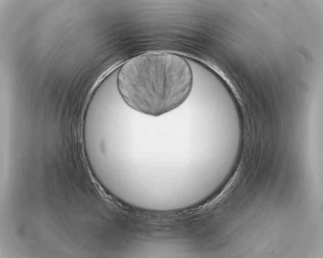 X0000115131145200911101641
